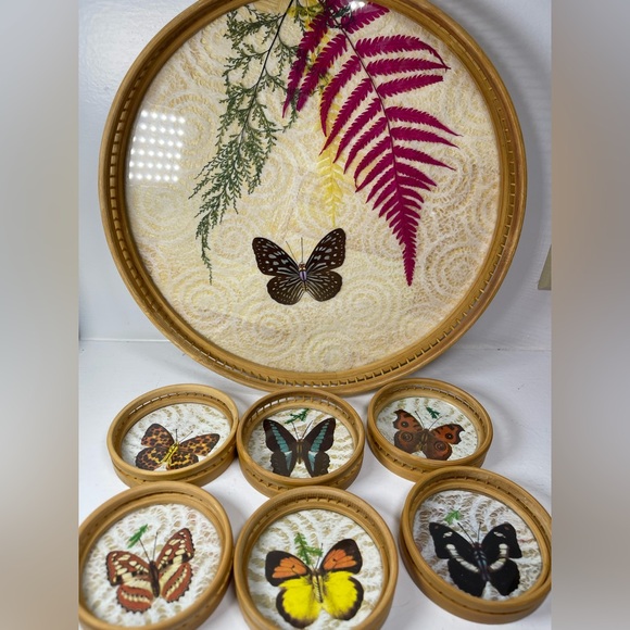 No brand / Vintage Other - Vintage Bamboo/Rattan/Glass pressed flower & Butterfly tray/coaster set 7 pcs